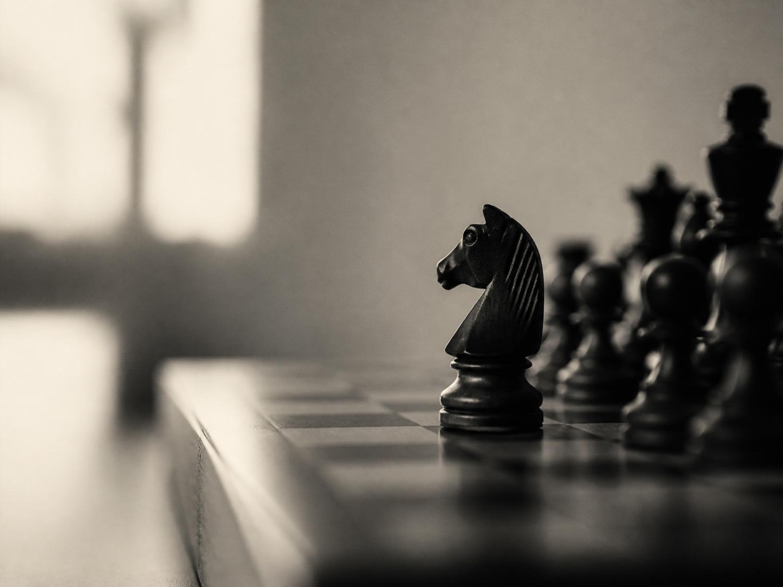 A wooden knight in soft window light on a chess board